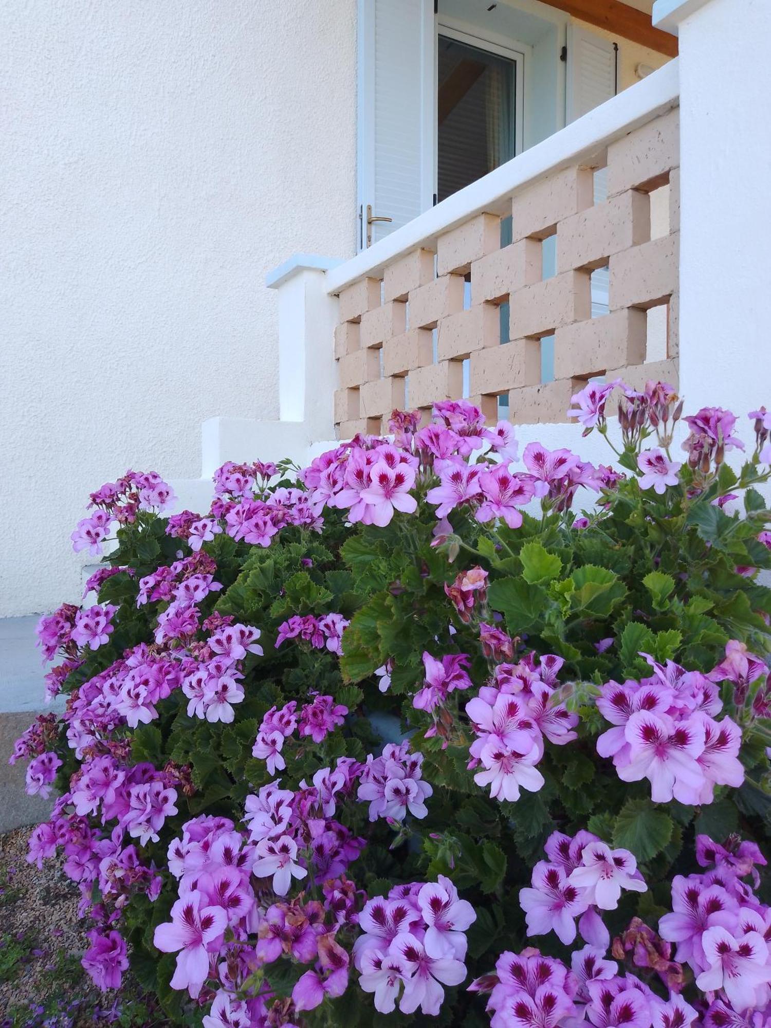 Lispusada Adults Only Bed & Breakfast *