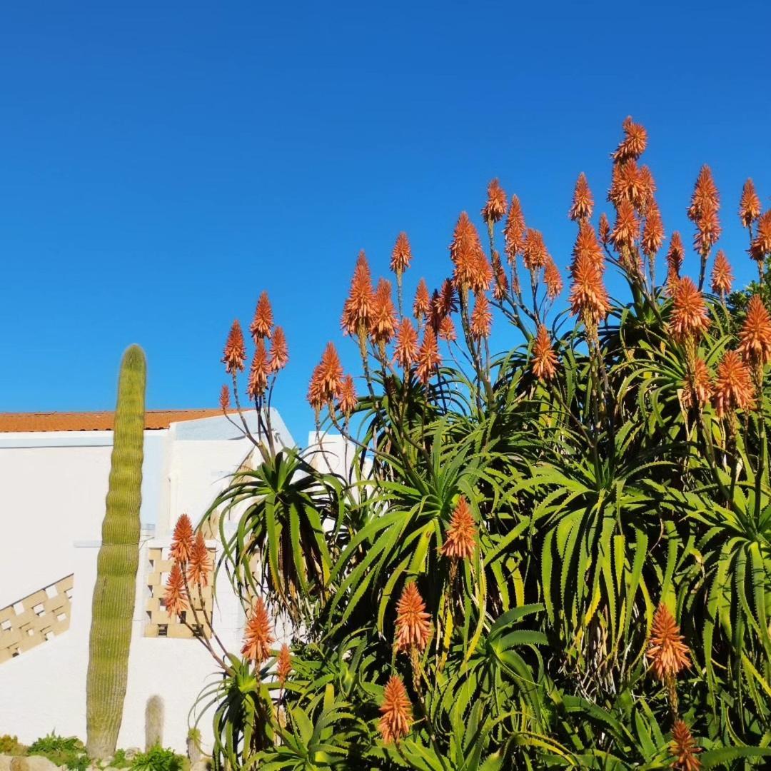 Lispusada Adults Only Bed & Breakfast