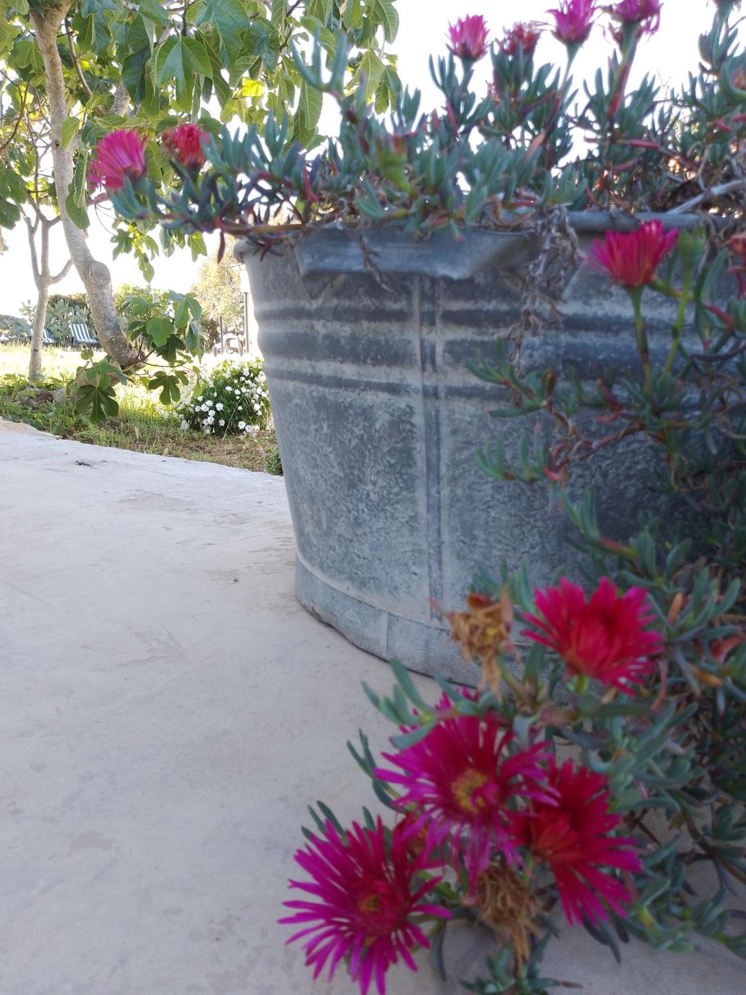 Lispusada Agriturismo Adults Only Bed & Breakfast *